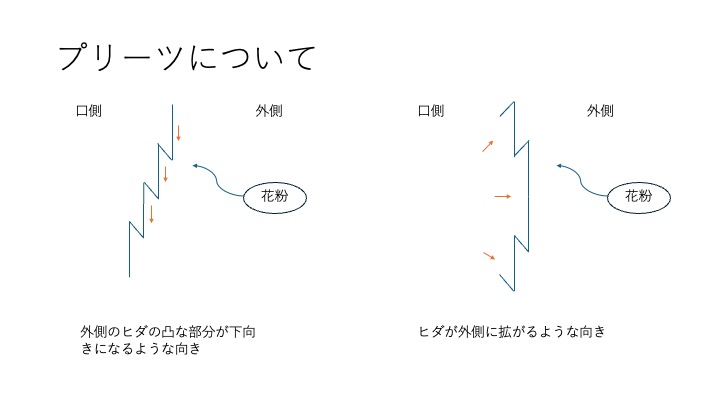 【第6回】　なんとなくマスク、卒業しませんか？